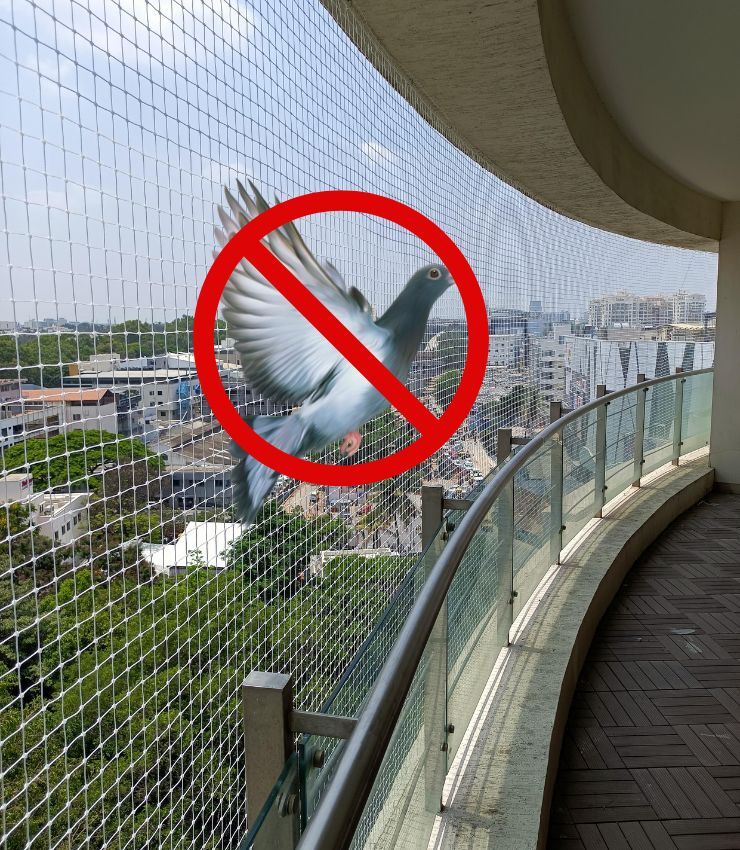 Pigeon Nets Bangalore